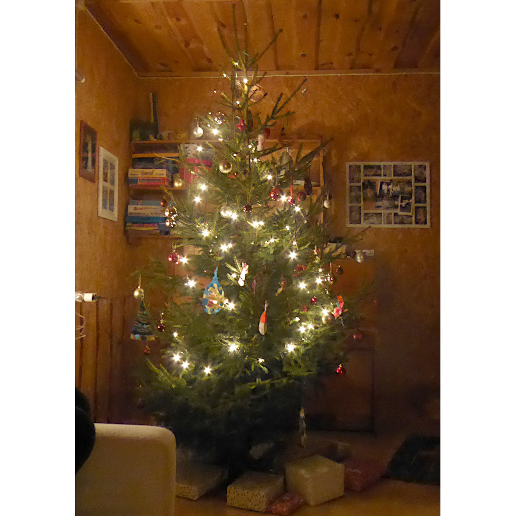 Unser geschmückter Weihnachtsbaum mit Geschenken